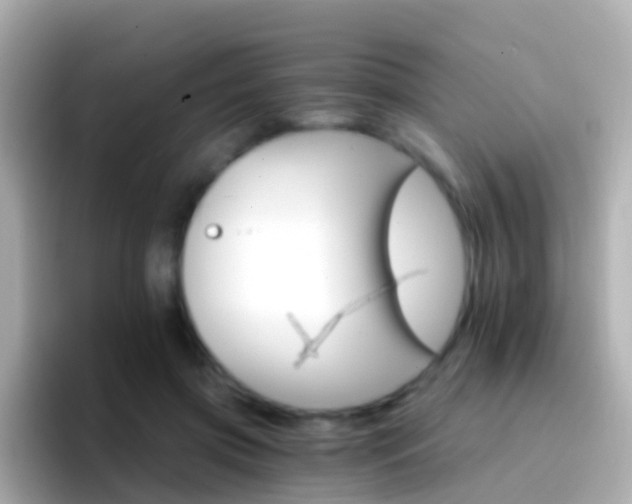 X0000096690549200802121234