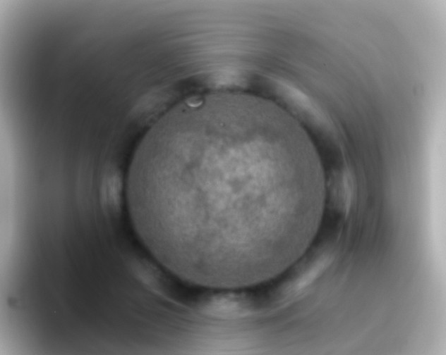 X0000096690550200802121234