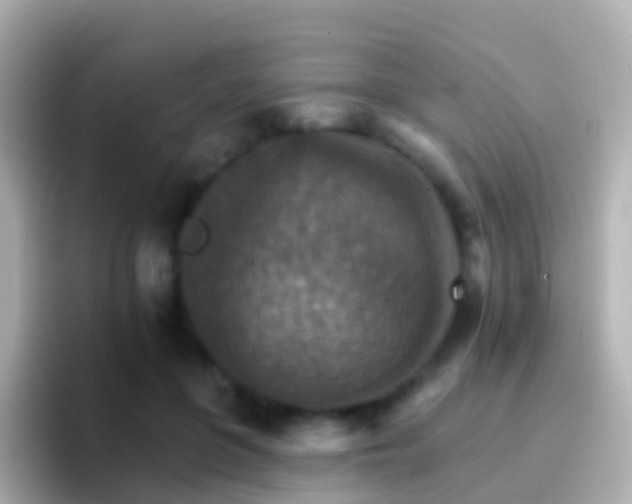 X0000096690551200802121234