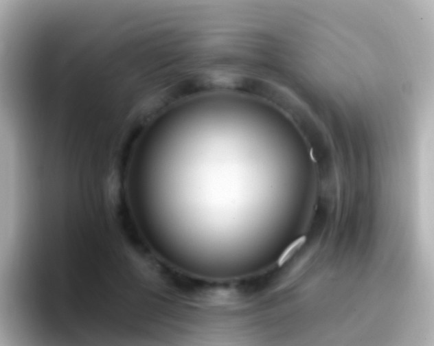 X0000096690552200802121234