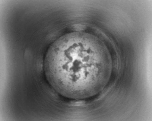 X0000096690553200802121234