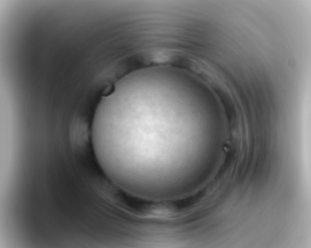 X0000096690555200802121234