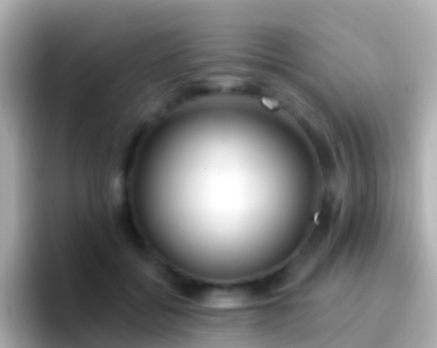 X0000096690556200802121234