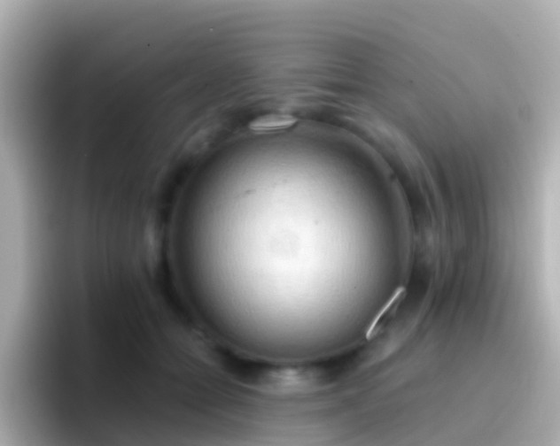 X0000096690558200802121234