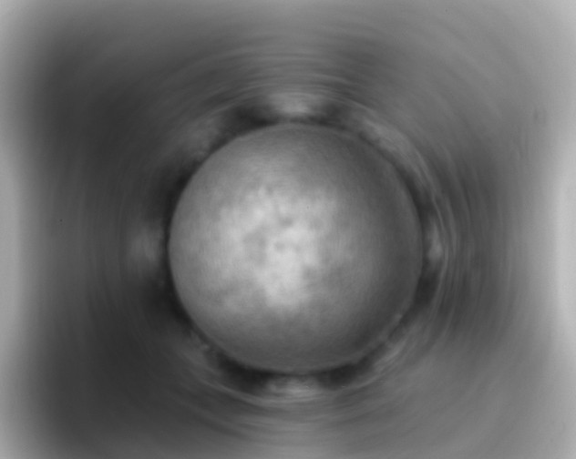 X0000096690559200802121234