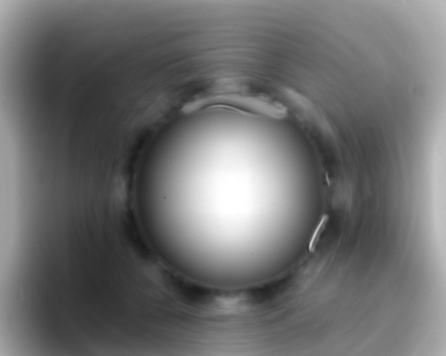 X0000096690560200802121234