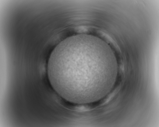 X0000096690561200802121234