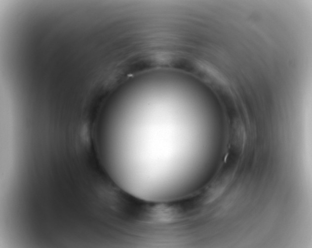 X0000096690562200802121234