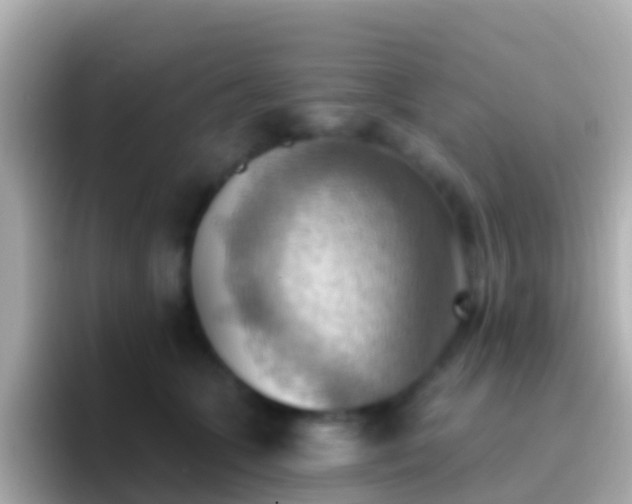 X0000096690563200802121234