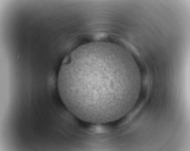 X0000096690565200802121234