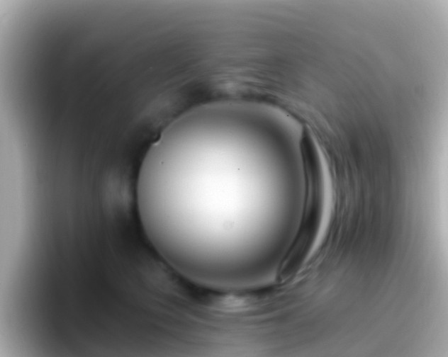 X0000096690566200802121234