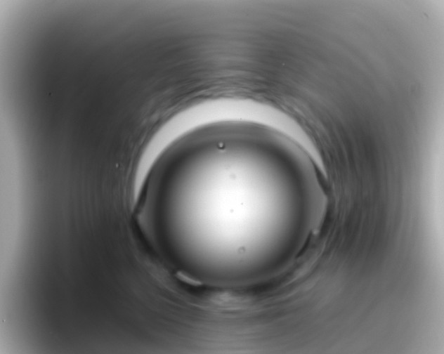 X0000096690568200802121235