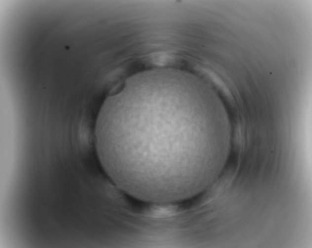 X0000096690569200802121235