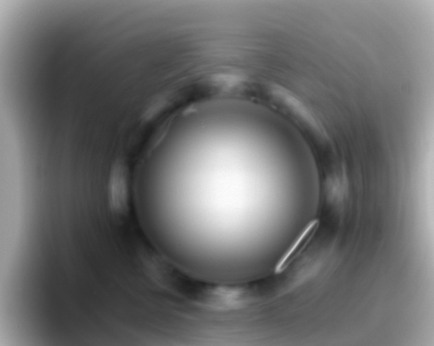 X0000096690570200802121235