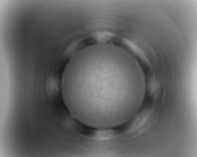 X0000096690571200802121235