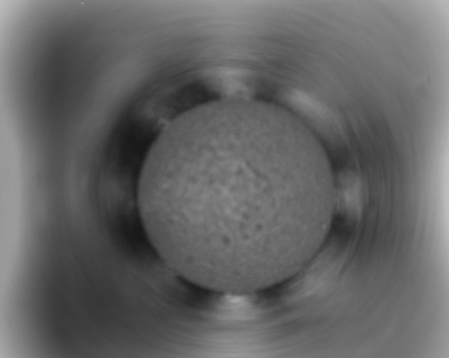 X0000096690573200802121235