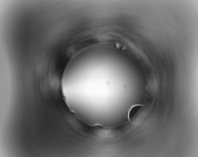 X0000096690574200802121235