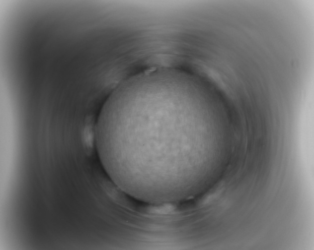 X0000096690576200802121235