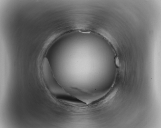 X0000096690577200802121234