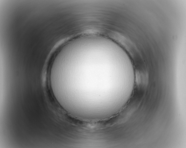 X0000096690579200802121234