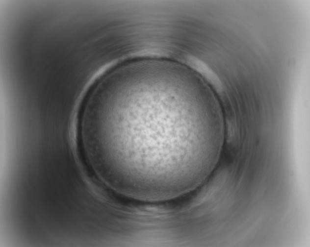 X0000096690580200802121234