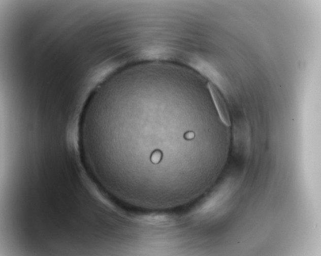 X0000096690581200802121234