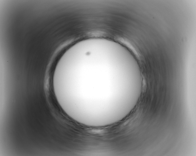 X0000096690583200802121234