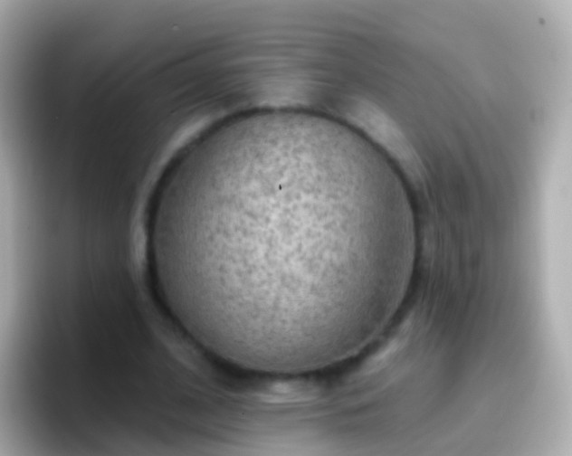 X0000096690584200802121234