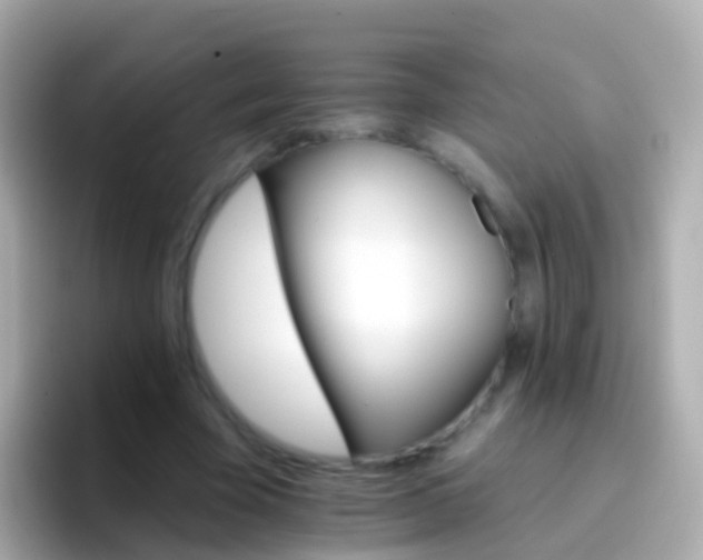 X0000096690585200802121234