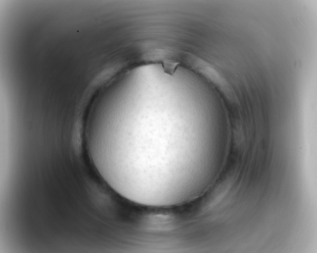 X0000096690586200802121234