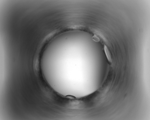 X0000096690587200802121234