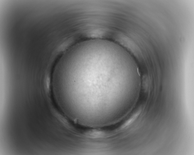 X0000096690589200802121234