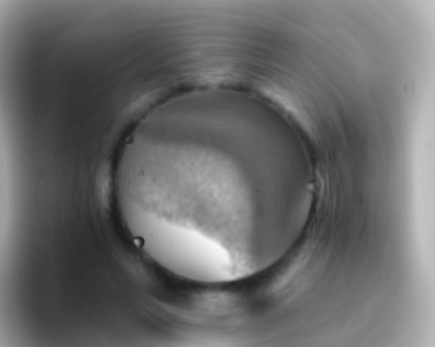 X0000096690590200802121234