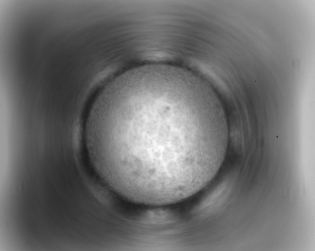 X0000096690591200802121234