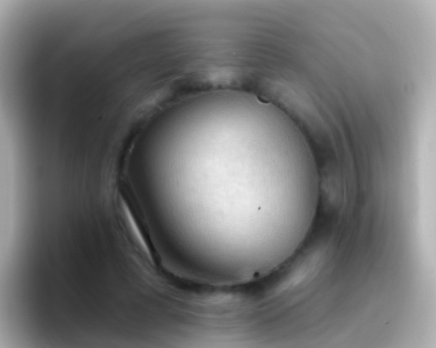 X0000096690593200802121234