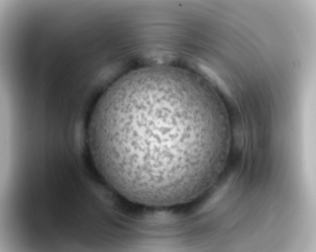 X0000096690594200802121234