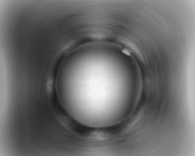 X0000096690596200802121234