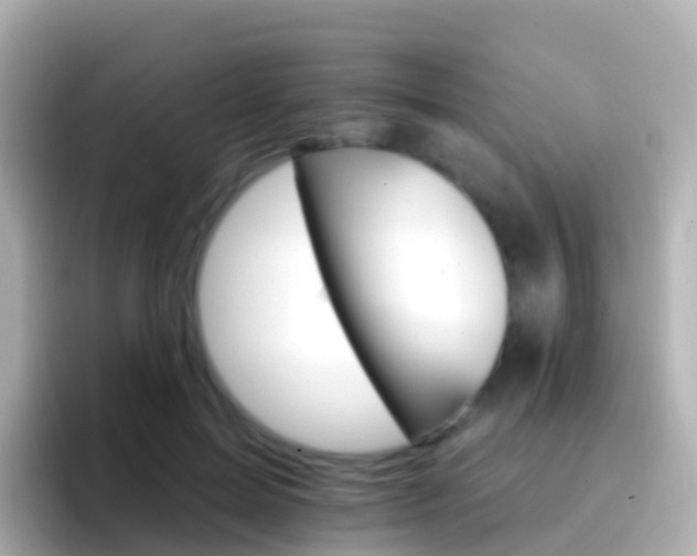 X0000096690599200802121234