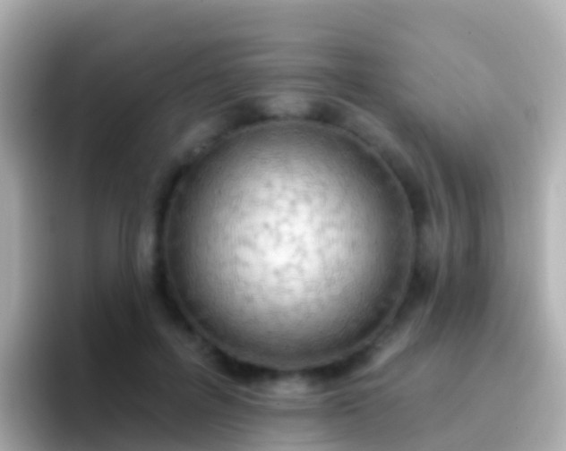 X0000096690600200802121234