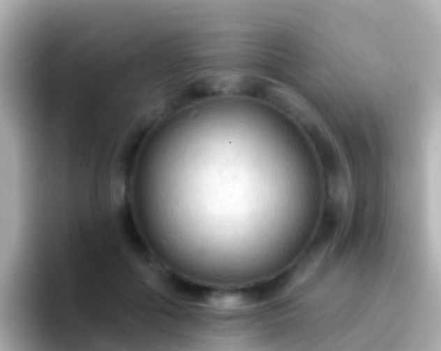 X0000096690602200802121234