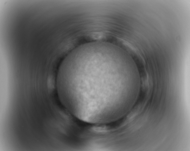 X0000096690606200802121234