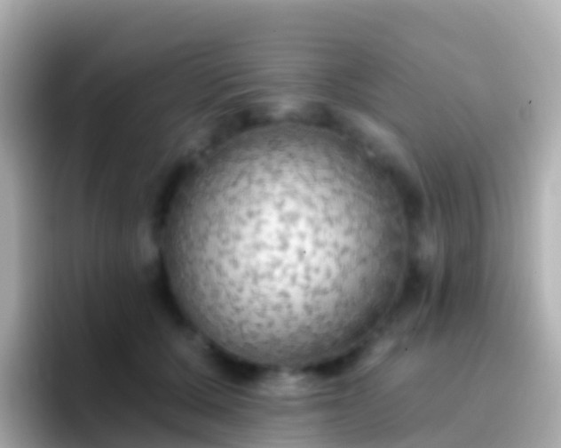 X0000096690607200802121234