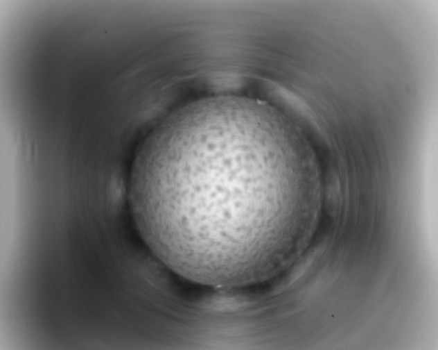 X0000096690608200802121234