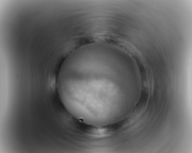 X0000096690610200802121234