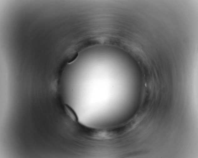 X0000096690611200802121234