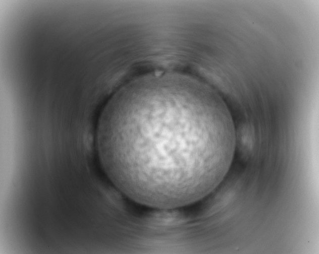 X0000096690615200802121233