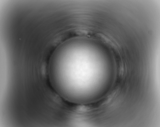 X0000096690616200802121233