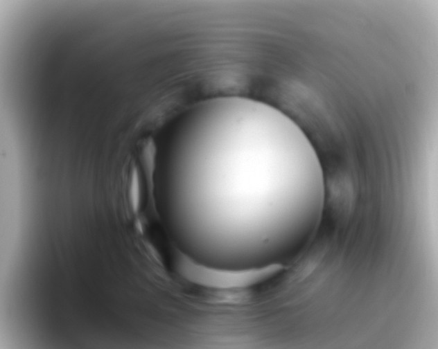 X0000096690617200802121233