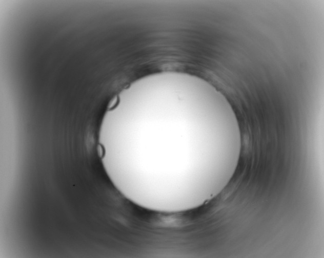 X0000096690618200802121233