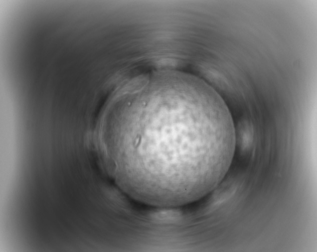 X0000096690619200802121233